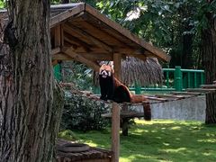 -西安秦岭野生动物园