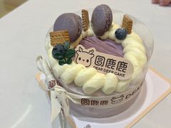 -圆鹿鹿·鲜果半糖蛋糕(常平店)