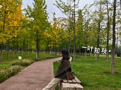 -汉长安城未央宫国家考古遗址公园