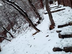 -阳台山自然风景区