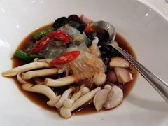 -食神鱼头佛跳墙(百子湾旗舰店)