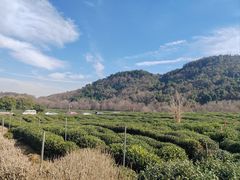 -中国茶叶博物馆(双峰馆区)