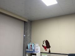 -半岛宠物医院24小时(白果林店)
