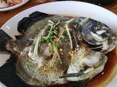 清蒸燕子鱼-蓝湾碧波·老字号·疍家非遗海上餐厅