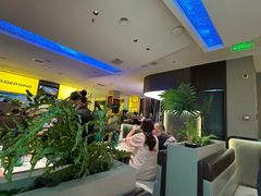 -丁虎子烤肉(国道二店)