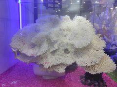 -游龙石文化科普馆