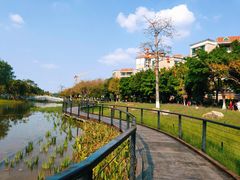 -映月湖公园