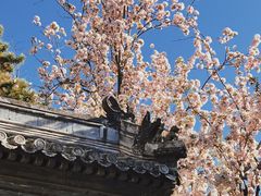 -潭柘寺景区