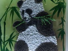 -贝壳王国博物馆