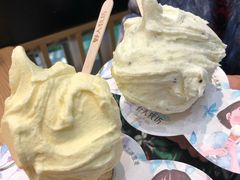 -野人先生现做冰淇淋(西安赛格店)