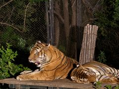 -大连森林动物园