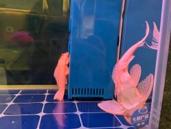 -铂诗玥医美