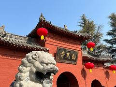 -洛阳白马寺