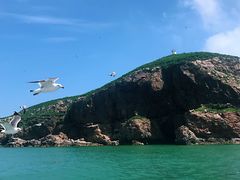 -海驴岛(荣成市)