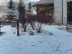 -长白山万达喜来登度假酒店