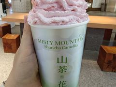 -雾与山茶(大禹城店)