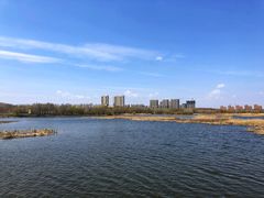 -哈尔滨大剧院