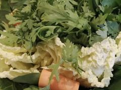 茼蒿-泰河谷·豆捞