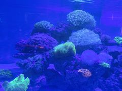 -上和臻品中国菜(花园街店)