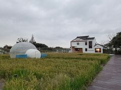 -MUSEO COFFEE咖啡博物馆