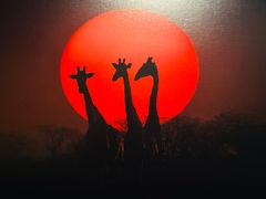 -罗红摄影艺术馆