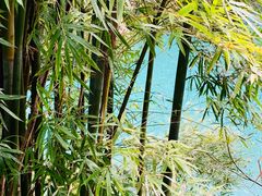-泽雅七瀑涧景区