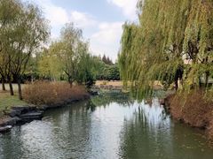 -上海滨江森林公园