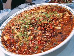 -新概念来凤鱼(璧山店)