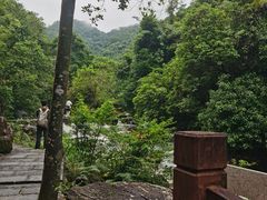 -广州白江湖森林公园