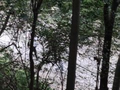 -紫金山索道-售票处