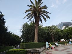 -南宁南湖公园
