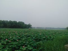 -颐和园-景明楼