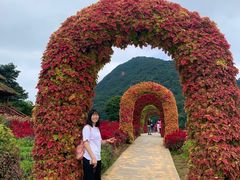 -广州市石门国家森林公园