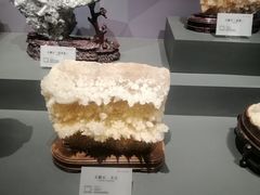 -湖南省地质博物馆