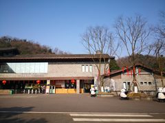 -都江堰中华大熊猫苑