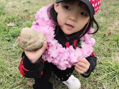 -曹州牡丹园