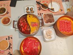 -小茉庐和牛自助火锅(龙湖万达店)