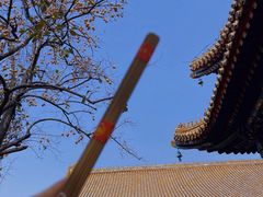 -锅儿挑面馆