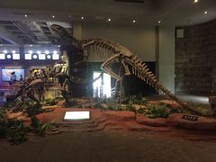 -自贡恐龙博物馆