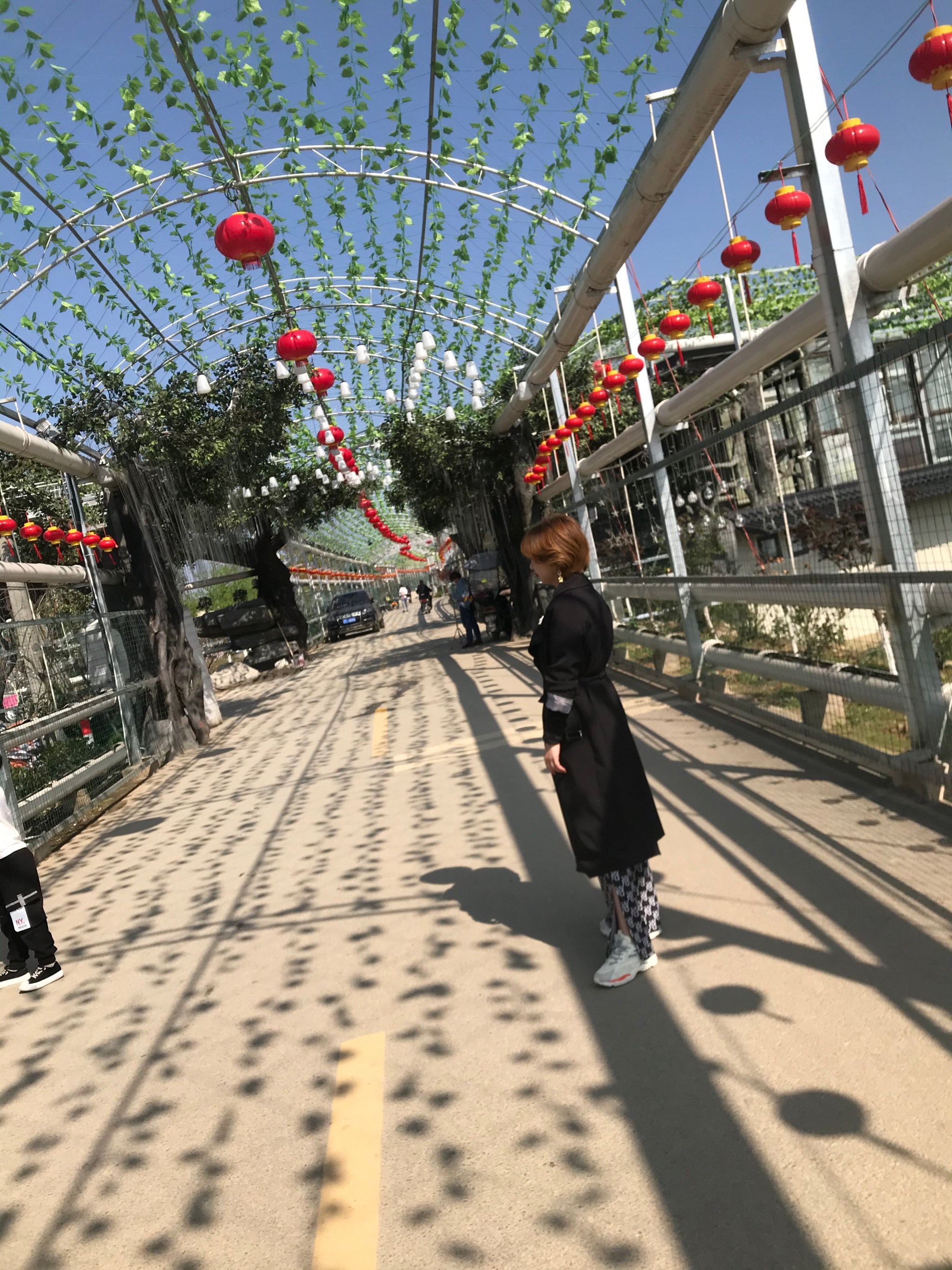 泾县后山梦幻游乐场