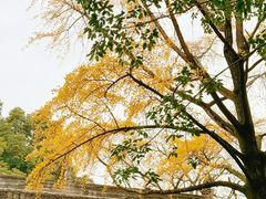 -成都杜甫草堂博物馆