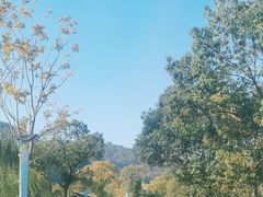 -南北湖风景区