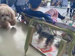 -SAANCI山池咖啡(海上世界文化艺术中心店)