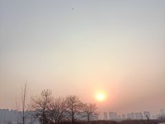 -汉长安城未央宫国家考古遗址公园