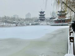 -迎泽公园