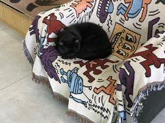 -中农大我爱我爱动物医院·核磁CT·猫病·24小时夜诊中心(石佛营店)