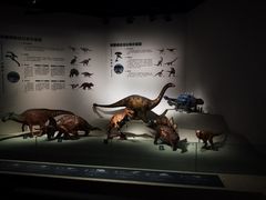 -自贡恐龙博物馆