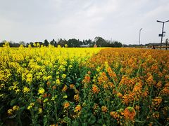 -中国天府农业博览园