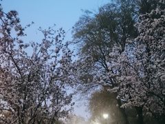 -元大都城垣遗址公园