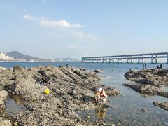 -黑石礁公园